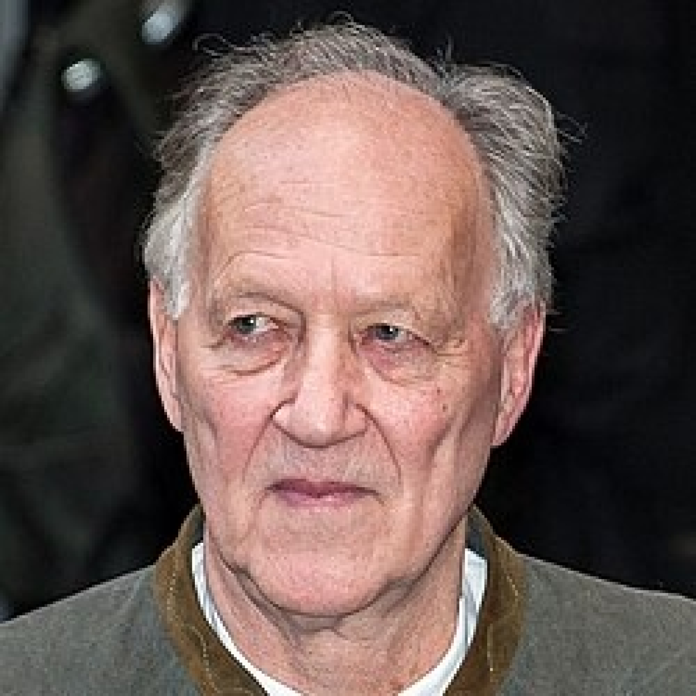 Herzog y la verdad extática